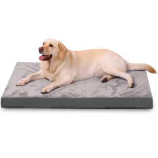 Double-sided all-weather dog mat DB2602